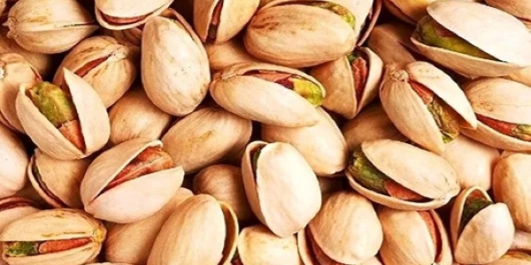 تصویر 2 از خرید پسته احمد آقایی فله + قیمت فروش استثنایی